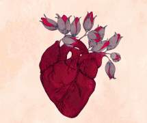 [하이큐] Tag, you're it