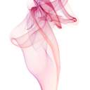 딜레탕트의 딜레마