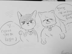 팔불출 옹황녤 02