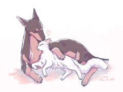 [옹년] 옹베르만이랑 황스코스트