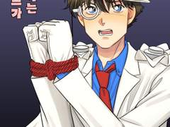 괴도 키드가 납치 당하는 책