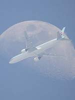 복숭아 밭에 꿀단지