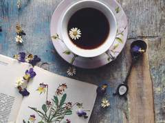 익투스와 독수리. (with 비비안)