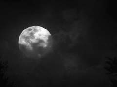 [강림원맥] 반회지옥(反回地獄) 5-5