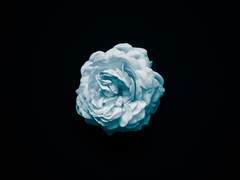 [진우승효] 실수