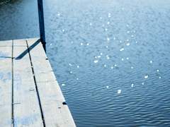 어느 꿈의 요람