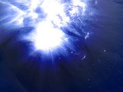 심해(深海) 속 재회