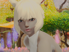 2018년도 미코테