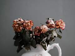 가장 느리고 가장 뜨겁다. 0