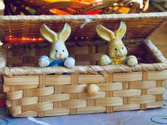 [빌드/센토타쿠] 새로운 가족