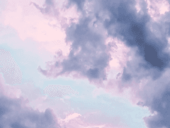 택홍 / 헤테로를 사로잡는 법