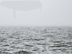 우던 / 로우(RAW)