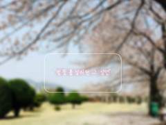 벚꽃 흩날리던 그 날엔