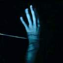 물고기의 비늘이 사실은 흉터였다면