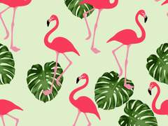 [도피로우] 미스터, 플라멩코 (2)