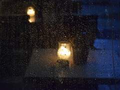 사랑의 향방(向方)