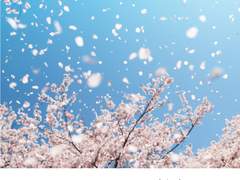 [황립] 겨울의 끝으로