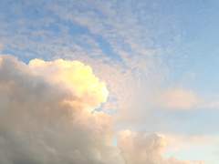 [젊토니피터]비오는 날 솜사탕