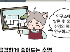 고양이학교 40