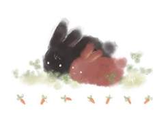 썰 정리본/해시태그