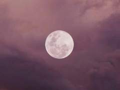 세키가하라 카논 /여/22 (공개)