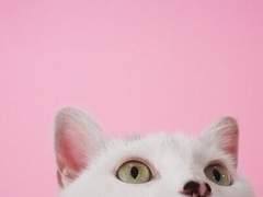 되어주세요 나의 - 2