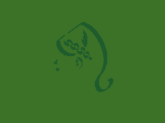 안녕, 나만의 낙원.