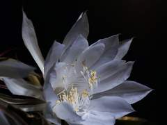 #화려하게로_시작하는_글쓰기