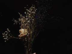 능곡지변(陵谷之變)