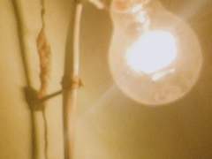 🔎기본 규칙🔎