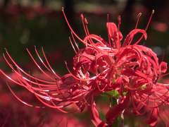 그냥 문득 생각이 들었다