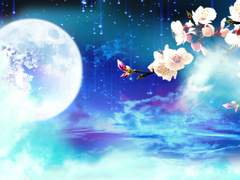 일월성신(日月星辰)의 신부 (4)