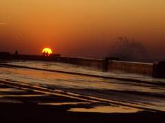 사랑의 기원(起源)