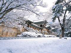 [미실설원] 설원 [雪原]