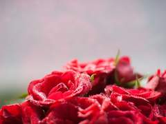 [녤윙] 결혼의 정석 #3