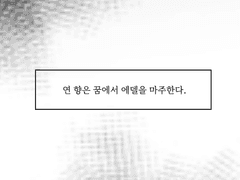 금붕어가 오로라에게 닿는 시간선에서