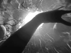 Alice in the wonderland