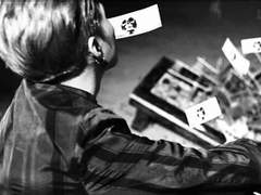 [슈총] 고양이는 귀엽다