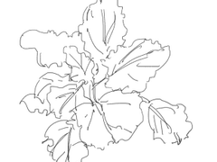 꽃에 대한 존중 방식