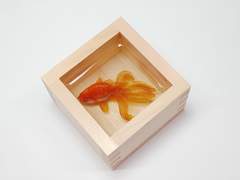 금붕어 프로젝트 1