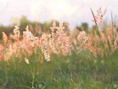 하루한글 프로젝트