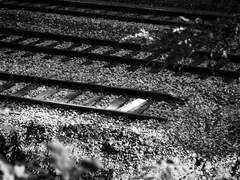 [지오/워즈소고] 선의 오류