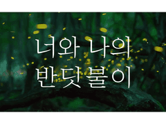 너와 나의 반딧불이