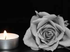 [로드린] Wish or lie -1