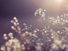 [동화봉구] 없다는 것보다 더 확실한 너의 흔적은 없다 1