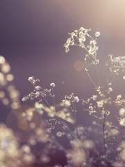 없다는 것보다 더 확실한 너의 흔적은 없다