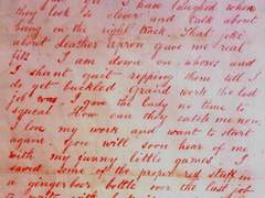 개를 위한 편지