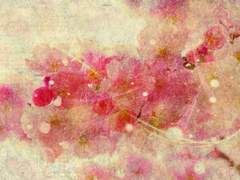 [CoC 시나리오] 봄날의 환영 오브제