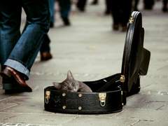 그 여름 기악실은 그랜드볼룸 05