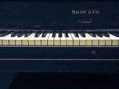 그 여름 기악실은 그랜드볼룸 02